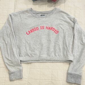 Aerie Gray and Red Crew Neck Sweater